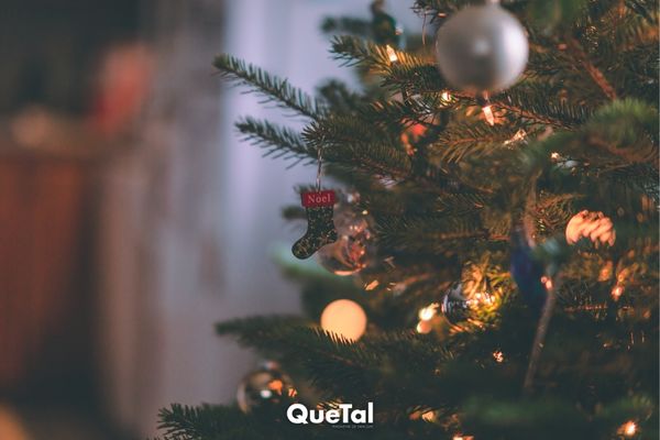 5 planes que puedes disfrutar si pasas Navidad solo